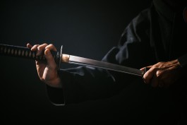 Bujinkan Shinryu Dojo Hereford