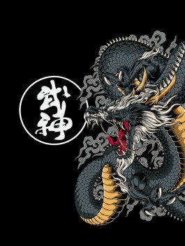 Bujinkan Shinryu Dojo Hereford